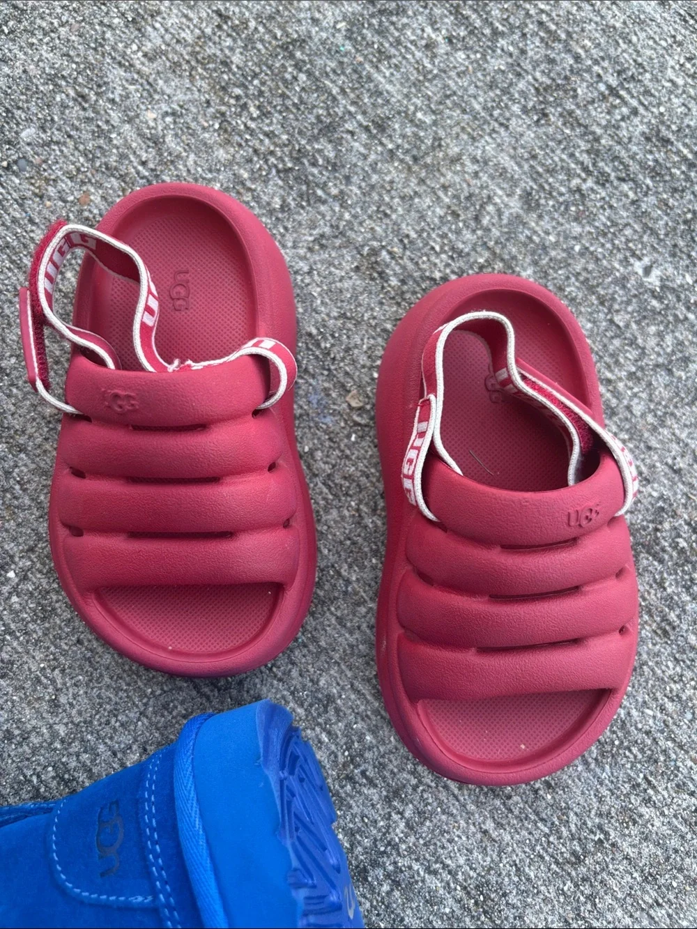 UGG vibrant blue